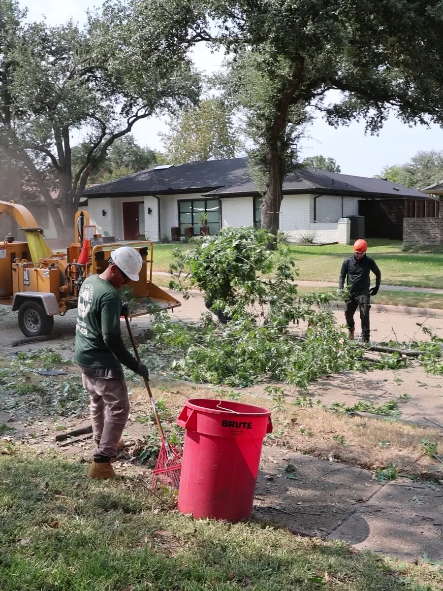 Ram Tree Service crew clearing storm-downed branches beside the chipper truck in Grand Prairie TX