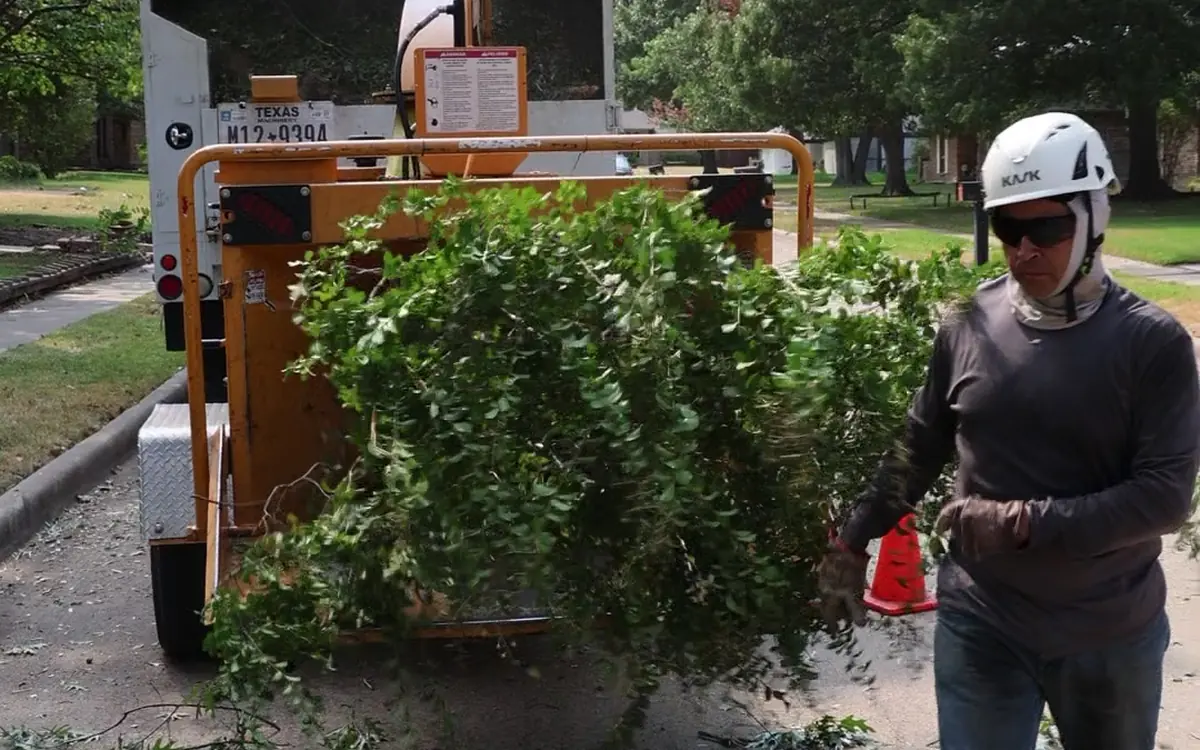 Ram Tree Service crew loading limbs and brush into the truck for same-day haul-off after a DFW tree removal