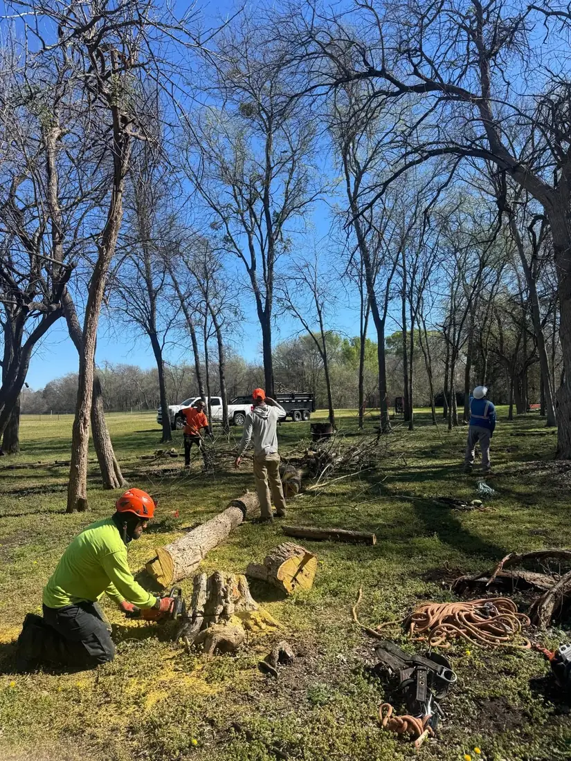 Storm damaged tree work in progress at a DFW home by Ram Tree Service